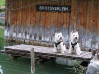 Klik op de foto voor groter formaat